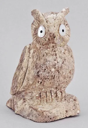 Visionary Owl of Cerrillos Turquoise