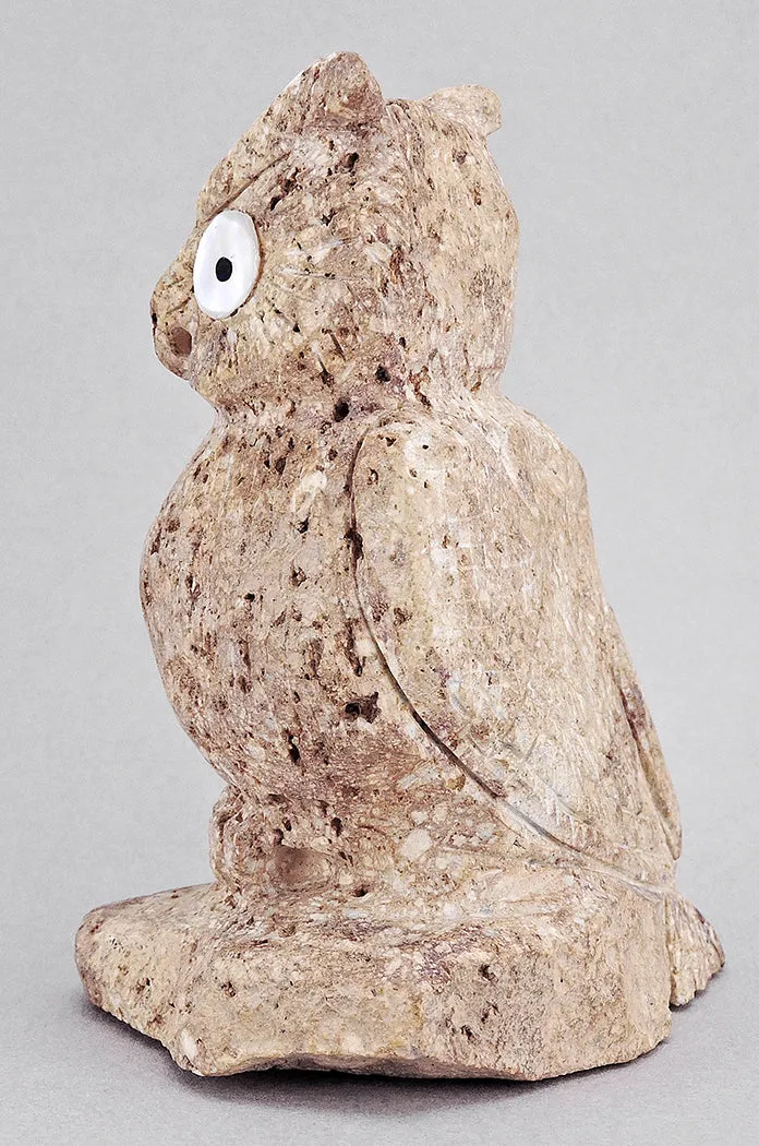 Visionary Owl of Cerrillos Turquoise